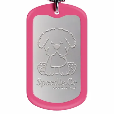 Pink - Australia Promo Now