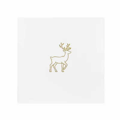 Style 5 - Australia Promo Now