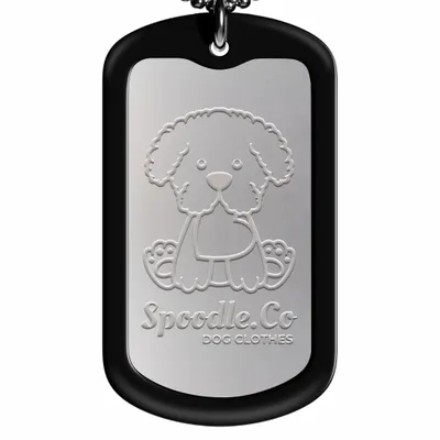 Black - Australia Promo Now