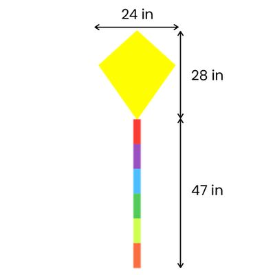 28in L x 24in W (47in Tail Length)