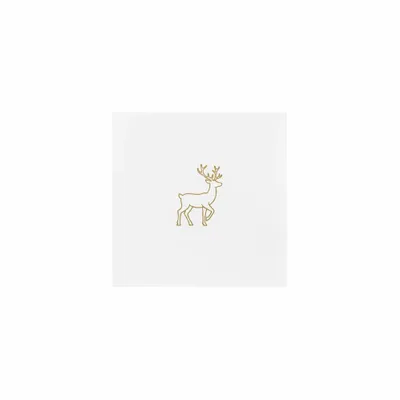 5 in x 5 in - Australia Promo Now