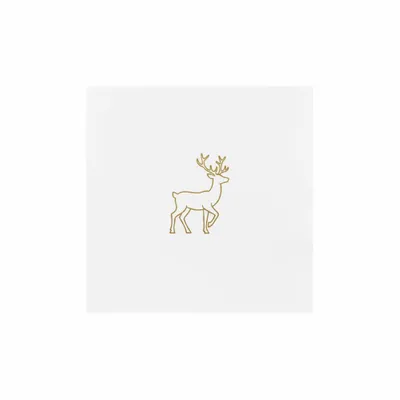 6.5 in x 6.5 in - Australia Promo Now