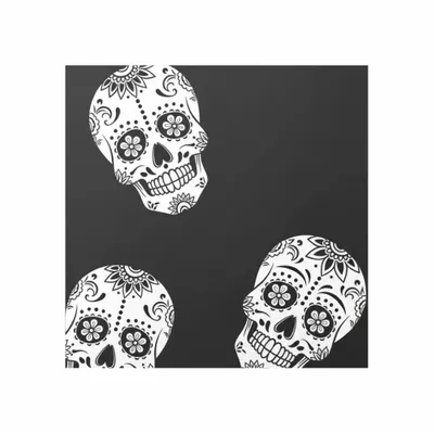 Standard - Australia Promo Now