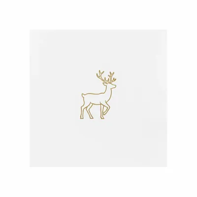 Standard - Australia Promo Now