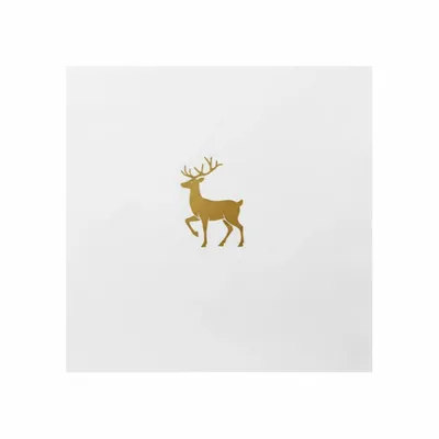 Standard - Australia Promo Now