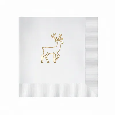 Coined - Australia Promo Now