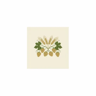 5 in x 5 in - Australia Promo Now