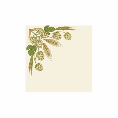 6.5 in x 6.5 in - Australia Promo Now