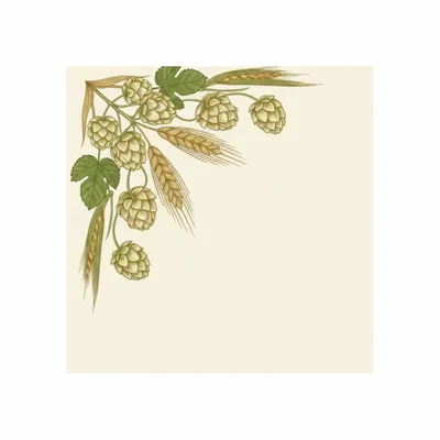 Standard - Australia Promo Now