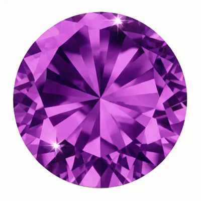 False Fuchsia - Australia Promo Now