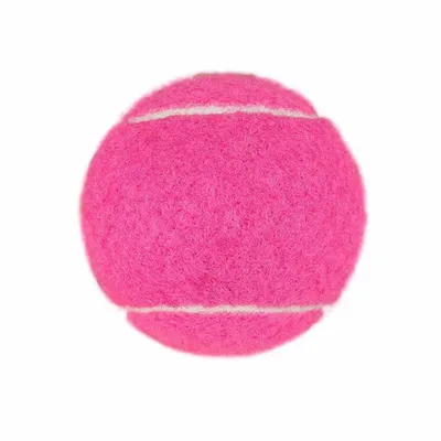 Fuchsia - Australia Promo Now