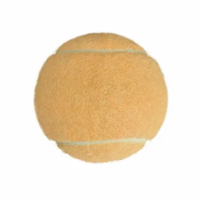 Rice Orange - Australia Promo Now