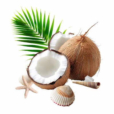 Coconut - Australia Promo Now