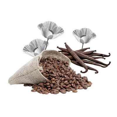 Black Opium - Australia Promo Now