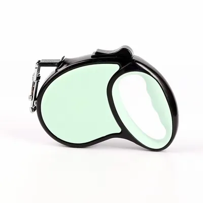 Mint Green - Australia Promo Now