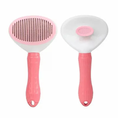 Pink - Australia Promo Now