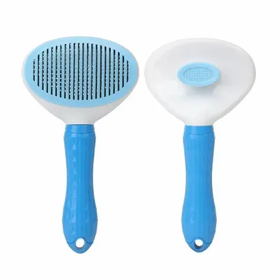 Blue - Australia Promo Now