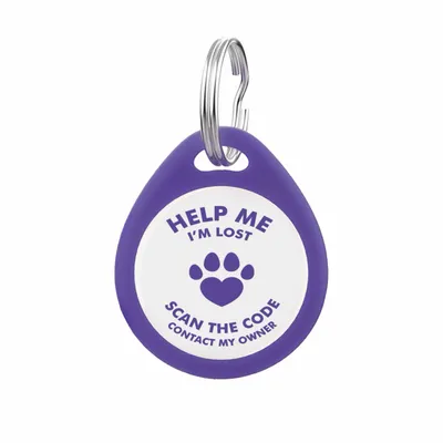 Blue - Australia Promo Now