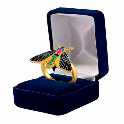 Blue Velvet Box - Australia Promo Now