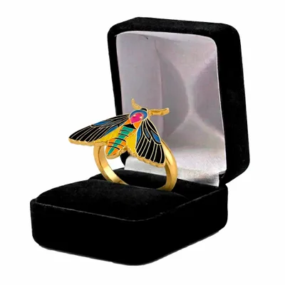 Black Velvet Box - Australia Promo Now