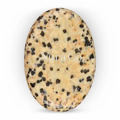 Dalmatian - Australia Promo Now