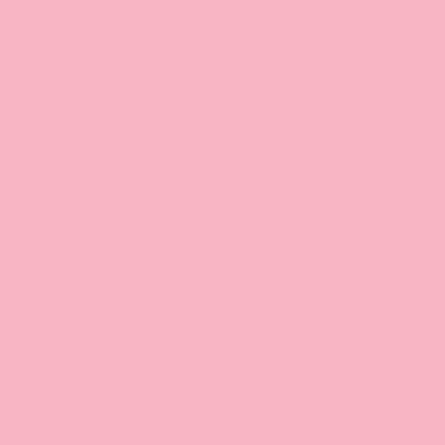 Pink - Australia Promo Now