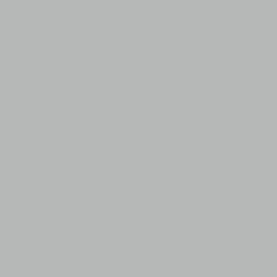 Light Gray - Australia Promo Now