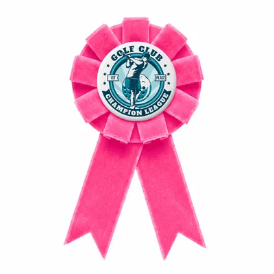 Pink - Australia Promo Now