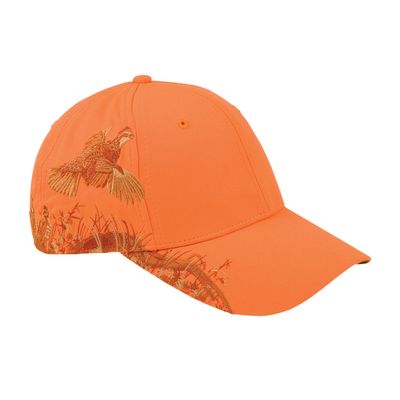BLAZE ORANGE BLAZE ORANGE - Australia Promo Now