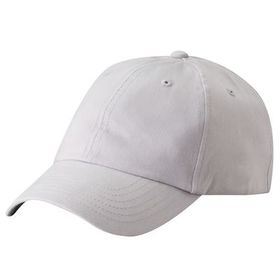 Light Gray Light Gray - Australia Promo Now