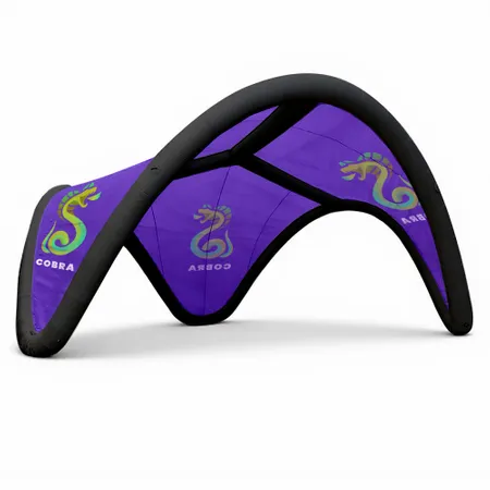 16 ft. x 16 ft. Inflatable Trident Tents 16 ft. x 16 ft. Inflatable Trident Tents - Australia Promo Now