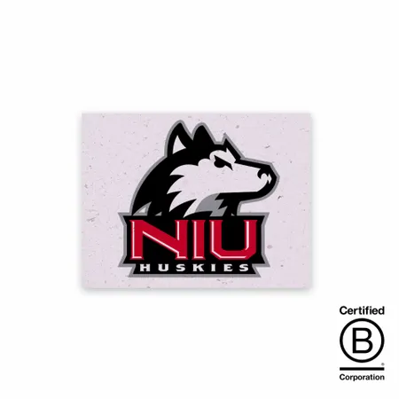 Seed Paper Panel Cards - Australia Promo Now