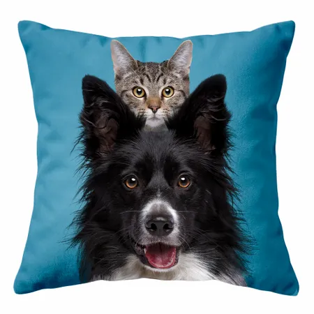 Square Pillows - Australia Promo Now