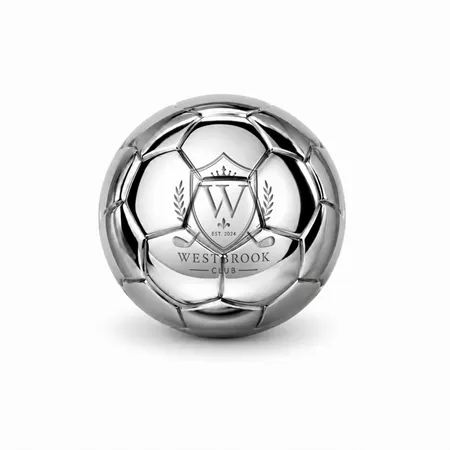 Soccer Ball Stainless Steel Ice Cubes - Australia Promo Now