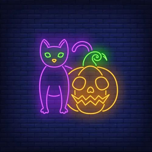 Scary Pumpkin Cat Neon Sign - Australia Promo Now