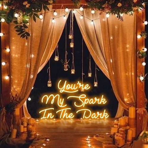 You Are My Spark in The Dark Neon Sign - Australia Promo Now