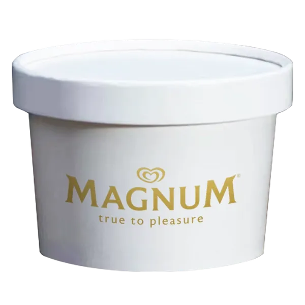 Ice Cream Container - Australia Promo Now