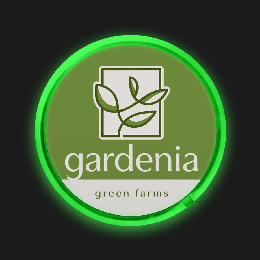 Light Button Pins - Australia Promo Now