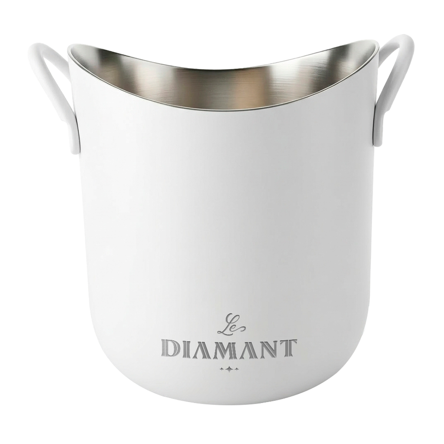 Stainless Steel Party Buckets - Australia Promo Now