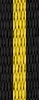 Black and Yellow
